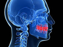 牙齿身体器官X光片高清图片