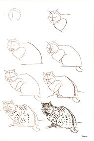 50个猫的画法图片素材