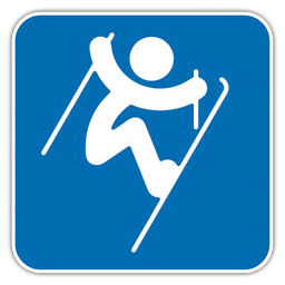 自由式滑雪空