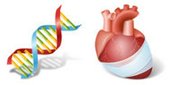 心脏DNA医疗图标PNG图标