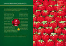 草莓营养画册psd素材
