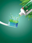 草本护理牙膏宣传广告psd素材