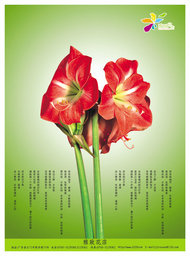 鲜花花店宣传海报PSD素材