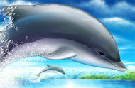 海洋馆海豚PSD素材