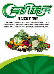 有机蔬菜海报PSD素材