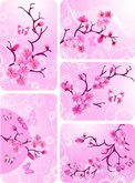 粉红桃花矢量图