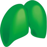 绿色肺模型矢量图