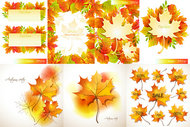 秋天枫叶叶子设计矢量素材