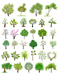绿化园林树木矢量素材