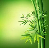 绿色清新竹子矢量素材