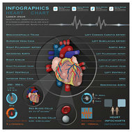 心脏器官信息图矢量图