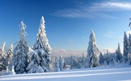 雪景图片桌面