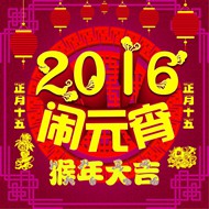 2016猴年闹元宵图片