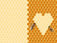 黄色心形蜂巢蜜背景图片