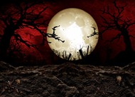月圆之夜恐怖图片