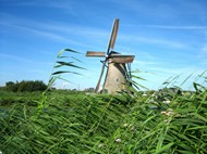 荷兰风车风景图片
