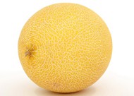 黄色哈密瓜图片