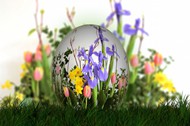复活节花卉彩蛋图片