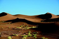撒哈拉荒漠图片