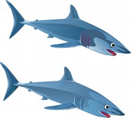 鲨鱼卡通图片