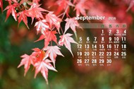 2016年9月日历桌面图片