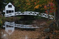 树林白色小屋拱桥图片