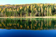 秋天湖泊树林图片