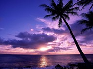 紫色黄昏海边图片