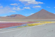 玻利维亚红湖图片