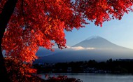 富士山红枫叶图片