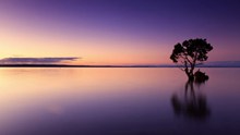 紫色黄昏湖泊图片