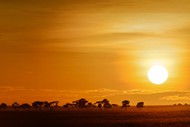 非洲黄昏美景图片