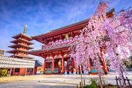 日本唯美樱花风景图片
