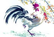 鸡年水彩画图片