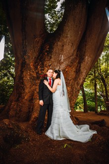 树下婚纱摄影高清图