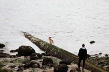 海边男人和狗图片下载