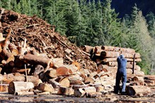 伐木工人精美图片