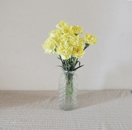 黄色康乃馨插花图片