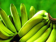 绿色香蕉图片