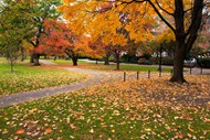 秋天大自然风景图片