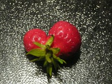 连体草莓图片下载