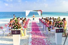 海边婚礼精美图片