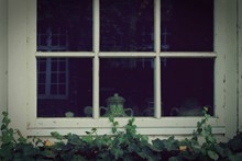 窗台绿植图片素材