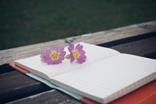空白记事本和紫色花图片素材