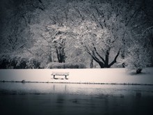 冬天意境雪景图片下载
