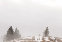 迷雾雪景高清图片