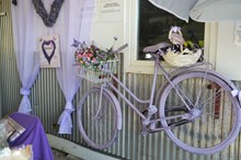 紫色单车图片