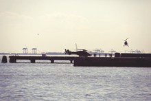 城市海港码头图片