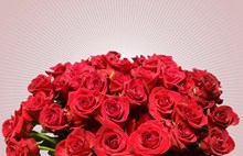 妇女节玫瑰花束精美图片