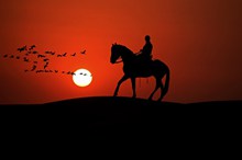 黄昏日落骑马剪影高清图片